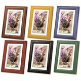 Zep ram za sliku crni 10×15 cm M1951 | Eponuda.ba