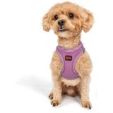 Paws & Whiskers Am za pse Air Mesh Lilac 2XS | Eponuda.com