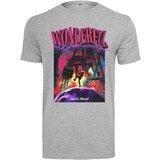 Mister Tee Beautiful T-shirt of gray color | shoptok.hr