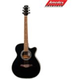 GITARA AKUSTIČNA FLIGHT F230C BLK | Eponuda.ba