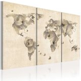  Slika - Atlas of butterflies - triptych 120x80 Cijene