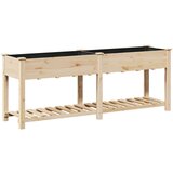 vidaXL Sadilice i sadnice Svijetlo drvo Drvo Velike Sadilice | shoptok.hr