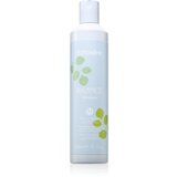 EchosLine Balance čistilni šampon proti prhljaju 300 ml | Shoptok.si