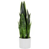 MID.YOU Umetna Rastlina Sansevieria | Shoptok.si