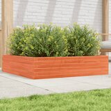 Maison Chic Vrtno cvetlično korito - Cvetlični Lonec voščeno rjavo 100x100x23 cm borovina, (21788729) | Shoptok.si