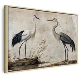 Slika - Birds from an old engraving - vintage-style illustration depicting a heron and a crane 90x60 U prirodnom drvenom okviru | shoptok.hr