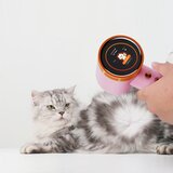 Powerton Sušilnik za lase Smart IONAI Plasma, črn | Shoptok.si