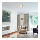 Rabalux liatris 71121 led 25 w plafonjera