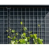  Rešetkasta ograda za biljke penjačice (227,5 x 195 cm, Srebrna, Namijenjeno za: EcoStar spremišta) | shoptok.hr