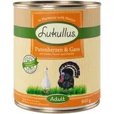 pureća srca i guska - 6 x 800 g