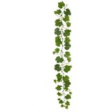 Signes Grimalt Podružnica Parra Zelena | shoptok.hr