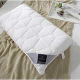 Billerbeck ANATOMSKI VZGLAVNIK Novum 40/80 cm | Shoptok.si