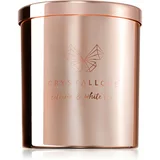 Crystallove Crystalized Scented Candle Citrine & White Tea mirisna svijeća 220 g