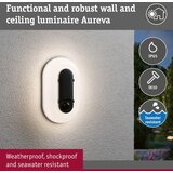PAULMANN 94958 - LED/18,5W IP65 prigu&amp;scaron;iva spolja&amp;scaron;nje zidno svetlo ELUNOR 230V Slike