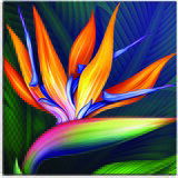 Pintdecor Zidni ukras Strelitzia | shoptok.hr