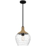  Quoizel QZ-ROYER-1P-MBK - Luster na štapu ROYER 1xE27/60W/230V, prečnik 30,2 cm | Eponuda.com