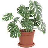  Saksije za biljke 6 pcs Crvena cigla Ø 15 x 12 cm Plastika | shoptok.hr