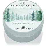 Kringle Candle Winter Evergreen čajna sveča 42 g | Shoptok.si