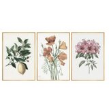 WALLXPERT dekorativna slika iz 3 dela Huhu278 50 x 70 Cene