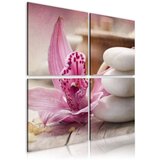  Slika - Orchid and zen 80x80 Cijene