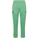 FC BAYERN MÜNCHEN Športne hlače zelena / črna