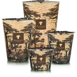 Baobab Collection Sacred Trees Mankono mirisna svijeća 1100 g | shoptok.hr