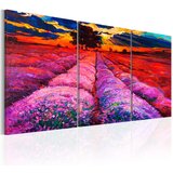  Slika - Land of Colours 60x30 Cijene