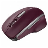 Canyon MW-21 2.4 GHz Wireless mouse with 7 buttons CNS-CMSW21BR | Eponuda.ba