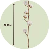 Plant in a Box posušeno cvetje - 3 kos - bouquet 'cotton branch' - šopek - pamet, (21758336) | Shoptok.si