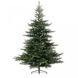  Novogodišnja jelka Grandis Fir 240cm-162cm 68.1453 | Eponuda.com