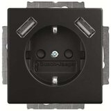 Busch-Jaeger SCHUKO-2x vtičnica USB 20 EUCB2USB-885, (20888171) Cene