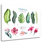  Slike na platnu z besedilom Tropical set flamingo (moderne) Cene