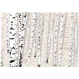  Tapeta - Birchen Grove 400x280 | shoptok.hr