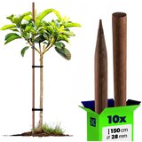 KADAX Leseni koli, nabrušeni, impregnirani koli, 150 cm, podporna palica Fi 28 mm, 10x, (5000362331) Cene