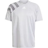 Dres 'Fortore 23' siva / svijetlosiva / bijela