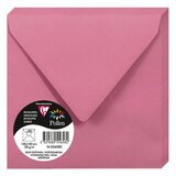 Clairefontaine kuverte Pollen 140x140mm 120gr hydrangea pink 1/20 | shoptok.hr
