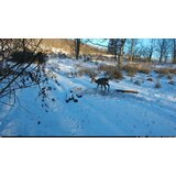OXE Lovska kamera Tarantula WiFi 4K, zunanja baterija 6V/7Ah in napajalni kabel + 32GB SD kartica, 8 baterij in stativ! | Shoptok.si