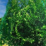  Mreža protiv ptica 5x50 m | shoptok.hr