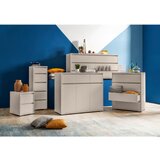 CARRYHOME ŠIROKA KOMODA, kašmir | Shoptok.si