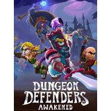 Steam Dungeon Defenders: Awakened (PC) Key EUROPE | ePonuda.com
