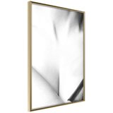  Poster - Charm 20x30 Cijene