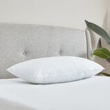 Catherine Lansfield Polnilo za blazino 74x48 cm Cotton Spring – | Shoptok.si