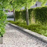  Ograda oko Travnjaka 20 pcs 103 x 30 cm metal Srebrna Cene
