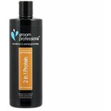 groom professional 2 u 1 koncentrovani šampon sa regeneratorom 450 ml Cene'.'