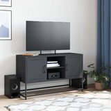 TV ormarić antracit 100,5x39x60,5 cm čelični | shoptok.hr