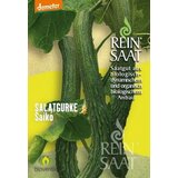 ReinSaat Bio solatna kumara Saikó Cene