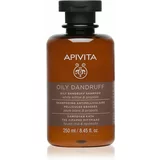 Apivita Holistic Hair Care White Willow & Propolis šampon proti prhljaju za mastne lase 250 ml