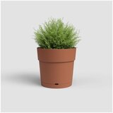Artevasi Tegla za cvijeće od reciklirane plastike ø 20 cm Capri – | shoptok.hr