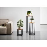 MID.YOU SET MIZIC ZA ROŽE | Shoptok.si