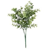  GRANA EUKALIPTUSA 36CM PVC BIZZOTTO u